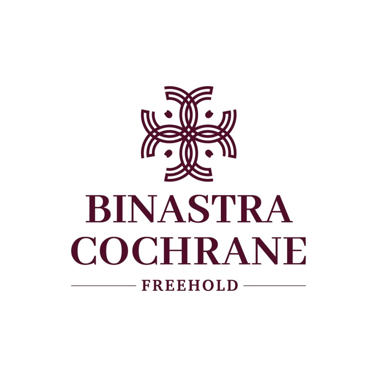 Binastra Cochrane Developer Logo
