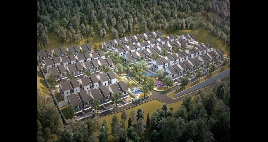 maple hill