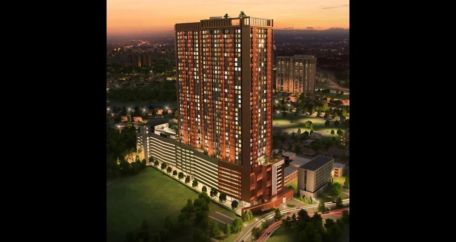 the shang