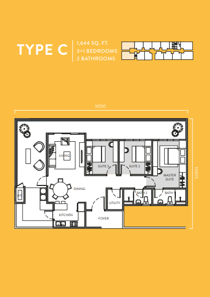 Full Width Image