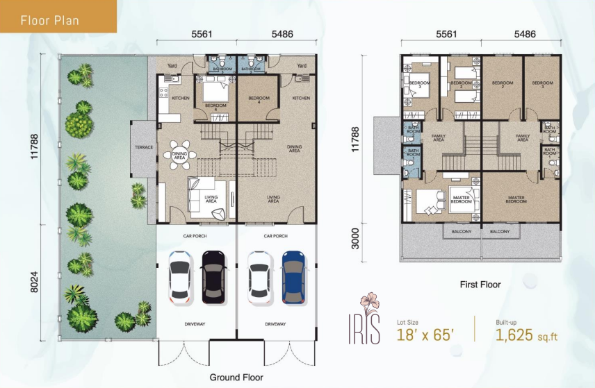 Floor Plan 18' x 65'